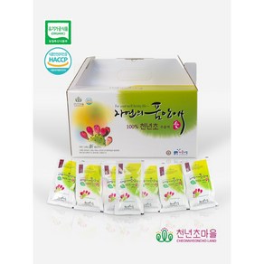 HACCP 유기농천년초즙 추출액 30포x100g [국가지정스타팜], 1개