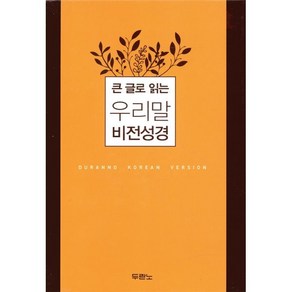 큰 글로 읽는 우리말 비전 성경 중단본 (호박색 / 색인 / 무지퍼 / 합성피혁) 5판 2쇄, 두란노서원