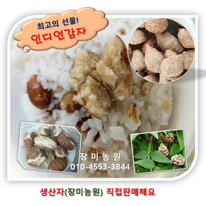 인디언감자(아피오스) 3kg/5kg 생산자 직판, 1개, 3kg, (중,대)