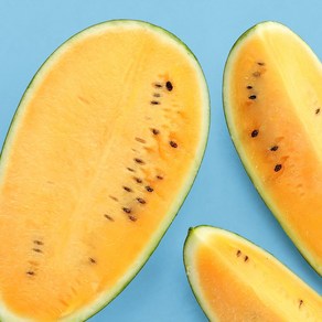 [12bix 당도선별] 당일수확 명품 꿀당도 수박, 1개, 블랙망고수박 2kg 미만