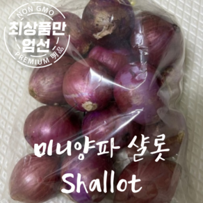 달큰한 미니양파 샬롯 Shallot, 1박스, 샬롯 1kg