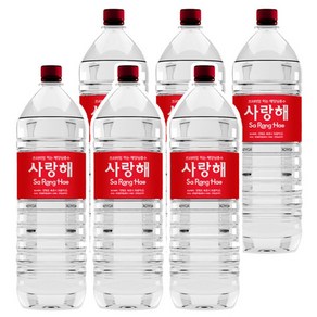 사랑해 경도300 프리미엄 해양심층수, 6개, 2L