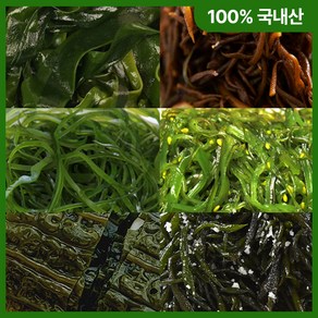 [종류별 옵션 선택] 완도 염장해초 6종 각 1kg 미역줄기 다시마 다시마채 꼬시래기 곰피 톳/ 해조류 해초샐러드 해초국수 해초무침, 다시마 1kg, 1개