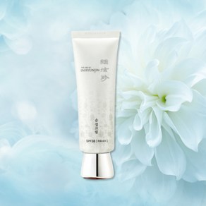 인현진 순설크림 45ml SPF38/PA+++(미백기능 자외선차단 잡티제거), 1개