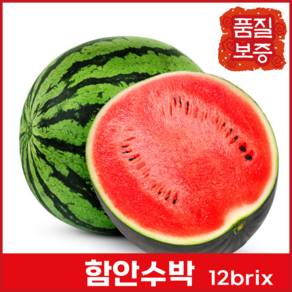 [품질보증] 프리미엄 함안 수박 특품 (당도 12 Bix이상 ), 1개, 5kg~6kg
