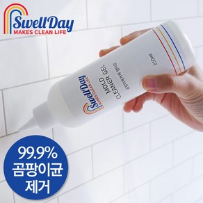 [홈스웰] [스웰데이] 곰팡이제거제 250ml, 3개