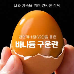 바나듐 쫄깃한 촉촉한 맥반석 난각번호2번 무항생제 동물복지 군계란 구운란 구운계란 유정란 파손보상 파손보장 특란 훈제란, 1개, 40구