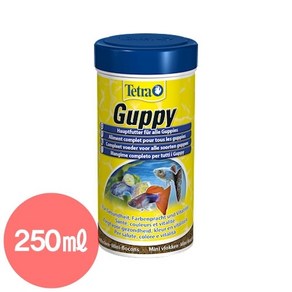 테트라 구피 푸드 250ml Guppy 구피 건강 색상 발색, 1개