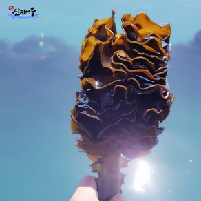 산지직송 바다가 준 선물 건 미역귀 200g/완도산 건조한 미역귀 / 신지어부가