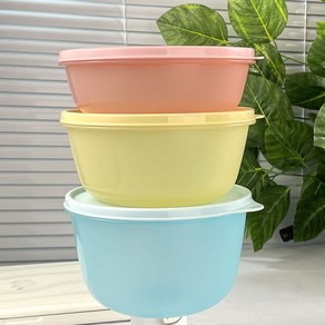 타파웨어 원형그릇 밀폐형 냉장고 과일 스낵 보관용기 1L/1.5L/2L 3종셋트 Tupperware