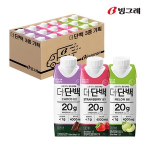 빙그레 더단백 드링크 250ml 3종 기획(초코 딸기 메론), 단품