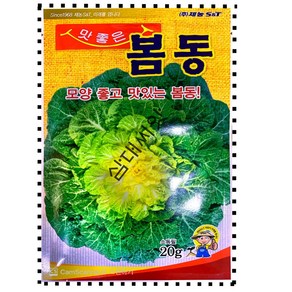 맛좋은 봄동 씨 봄동배추씨앗 종자 20g 제농, 1개