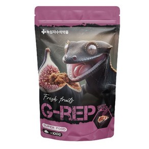 지렙 G-REP 슈퍼푸드 무화과맛 녹십자수의약품, 1개, 100g