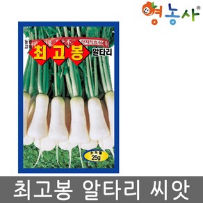 최고봉 알타리 씨앗 25g 영농사, 1개