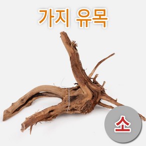 가지유목 [소], 1개