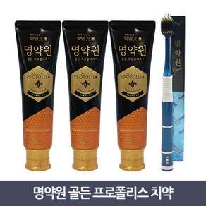 죽염 명약원 골든프로폴리스 치약 120g 3개+칫솔 1개