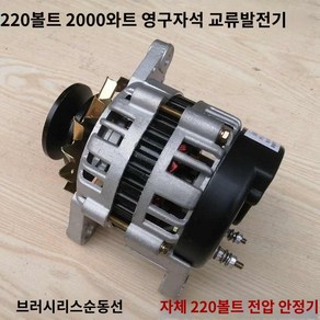 교류발전기 모터 영구자석 220v 800w 1300w 2000w 교류 고전력 가정용, 220볼트 2000와트, 1개