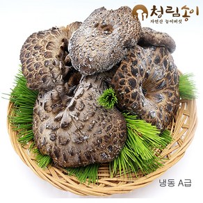 (청림송이 능이) 자연산 능이버섯/냉동(특품), 냉동능이/A급/1kg, 1개