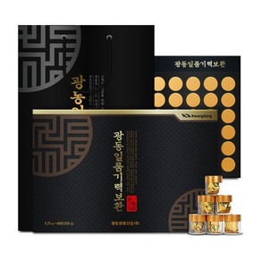 광동 일품기력보환 60환 + 쇼핑백 세트, 225g, 2개