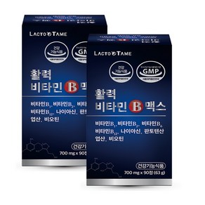 락토테미 활력 비타민b 맥스, 90정, 2박스