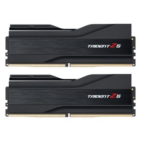 G.SKILL G.SKILL DDR5-6400 CL32 TRIDENT Z5 J 패키지 (32GB(16Gx2)), 2개