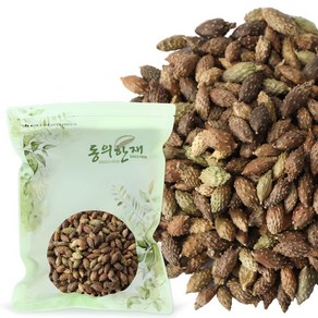 동의한재 중국산 도꼬마리 창이자, 600g, 1개