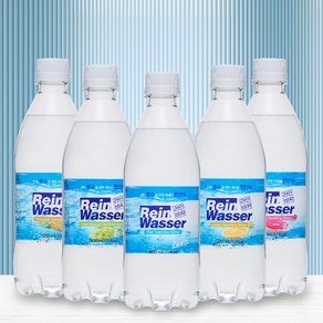 동아오츠카 라인바싸 탄산수 500ml PET 5종 2박스 (총40입), 40개