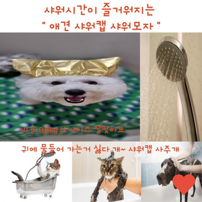 강아지 고양이 샤워캡 목욕 방수 귀마개 애견 모자 물놀이 헤어밴드 스파 용품