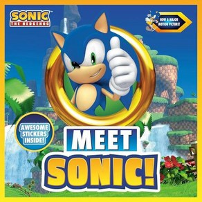 Meet Sonic A Sonic the Hedgehog Stoybook