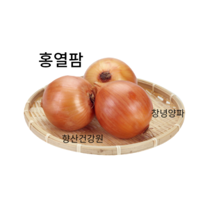 당뇨 고지혈증영양제 양파즙100포, 100개, 110ml