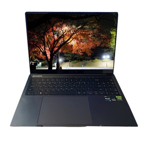 삼성 갤럭시북4 울트라 NT960XGL-XC72G Ulta7 램32G SSD1TB RTX4050 Win11 40.6cm 16형 문스톤그레이, WIN11 Home, 32GB, 1024GB