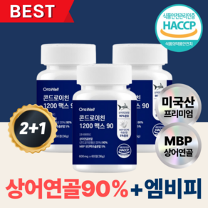 상어연골 콘드로이친 1200 성분 고함량 C6S 식약청 HACCP 인증 오라웰, 3개, 60정