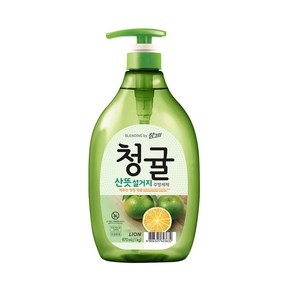 참그린 청귤 산뜻 설거지 주방세제, 1kg, 6개