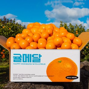 당도 선별 11Bix 감귤 제주 직송, 고당도 타이벡 3kg 로얄과(2S-M), 1박스