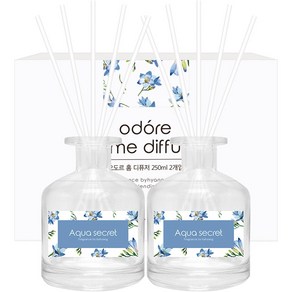 오도르 홈 디퓨저 250ml, 아쿠아시크릿, 2개