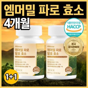 올리트루 엠머밀 파로 발효 효소, 2개, 60정