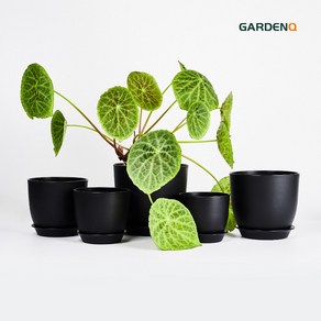 GARDENQ 생장 마력 화분 배수 기능 포함 화분 가드닝 화분 플라스틱 원형 화분 + 받침 4.5-5-5.5-6.3-7인치 화분 5p 관엽 관엽식물 다육이 선인장