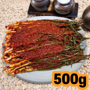 선화동 실비파김치 대전 실비 매운 파김치 원조, 1개, 500g