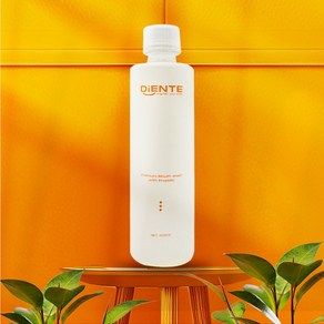 디엔테가글 무알콜 약산성 프로폴리스 가글 입냄새 구취 구내석 치태 제거, 1세트, 500ml