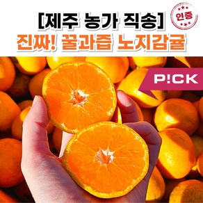 [달콤끝판왕] 제주감귤 타이벡감귤 비가림감귤 제주귤 4.5kg 1개