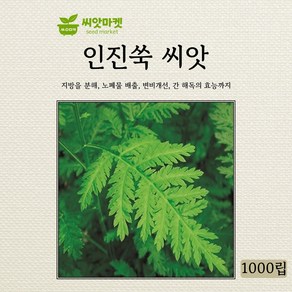 아람종묘 인진쑥 씨앗 1000립, 1개