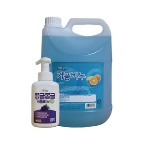 핸드워시 버블워시(거품비누) 오릭스 비치용 500ml 포도향 + 손세정제 리필용 4000ml 레몬향, 1개