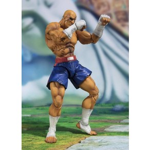 반다이일본 Steet Fighte V Sagat Bandai S.H.Figuats, 1개