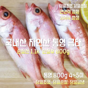 [산지직송] 국내산 자연산 통영 금태 손질전 1100g 손질후 800g 4~5미, 1박스, 통영 금태 손질전 1100g  손질후 800g 4~5미