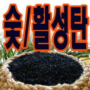 순정 활성탄/참숯/냄새 습기 곰팡이/공기정화/탈취제, 1개, 100g