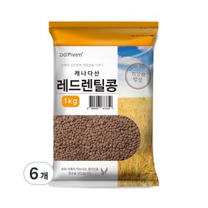 건강한밥상 레드렌틸콩1kg 6개