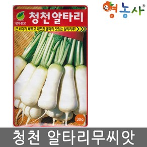 청천 알타리 씨앗 25g 연하고 맛이 좋은 총각무 종자, 1개