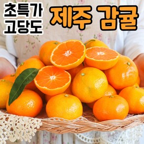 [정품] 제주 제주도 서귀포 산지직송 고당도 노지 하우스 귤 감귤 밀감