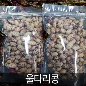 울타리콩(호랑이콩 냉동)(2024년산), 1개, 800g