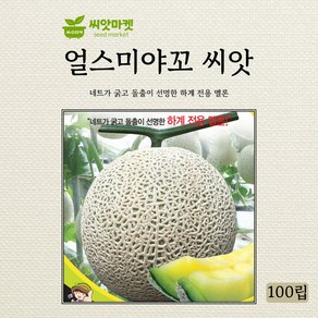 세계종묘 얼스미야꼬 멜론 씨앗 100립, 1개